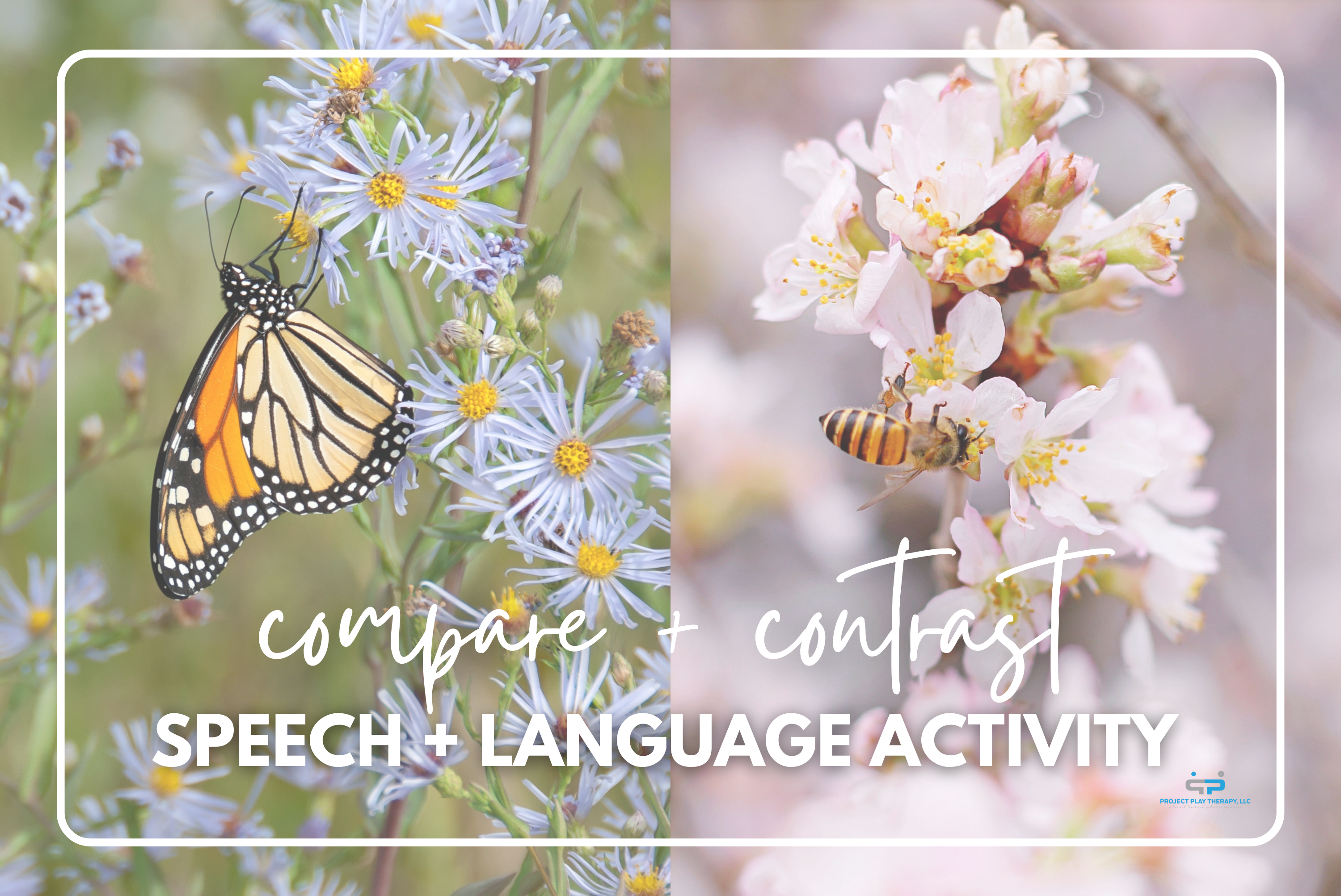 compare and contrast language