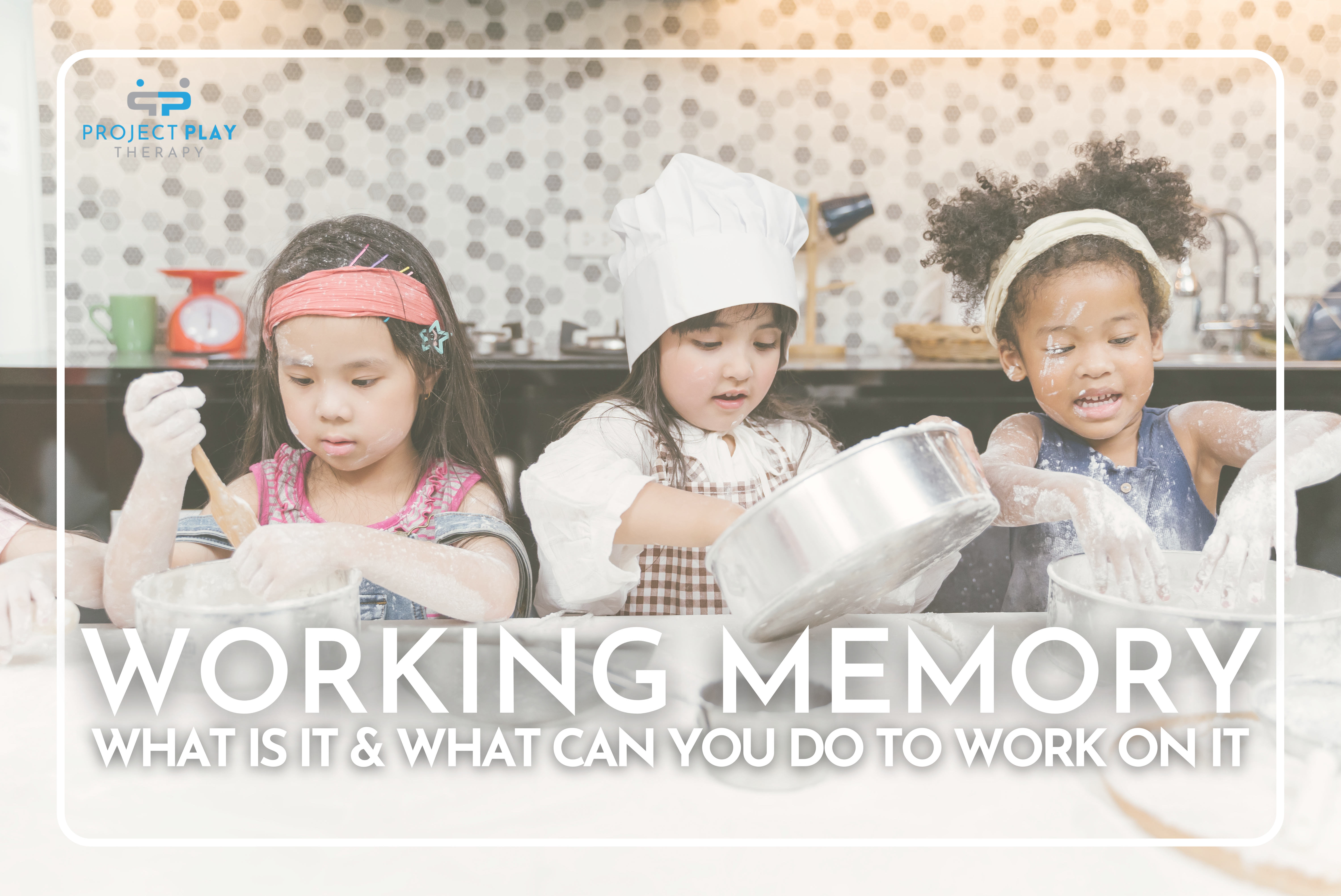 What is Working Memory?