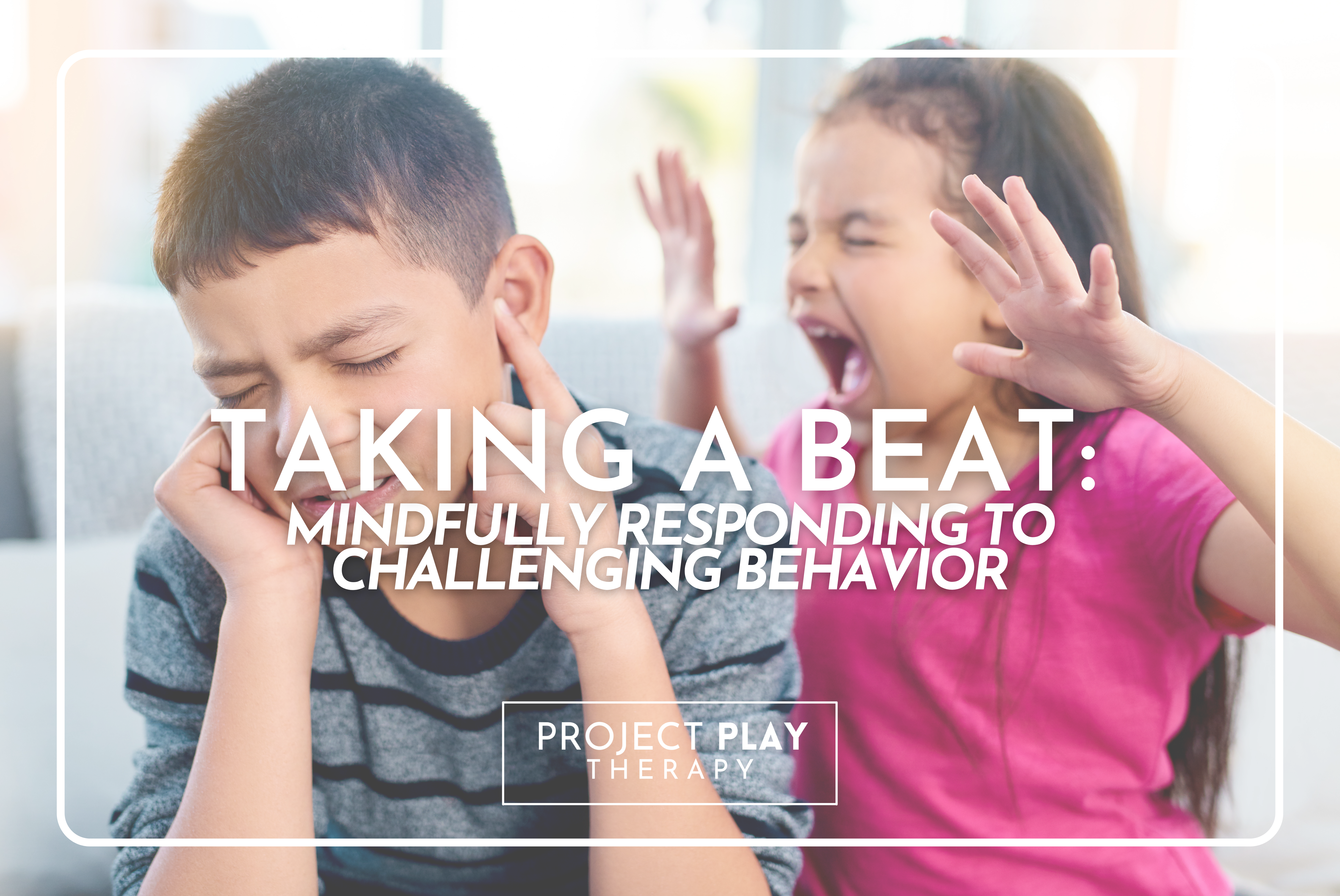 Mindfully Responding to Challenging Behavior